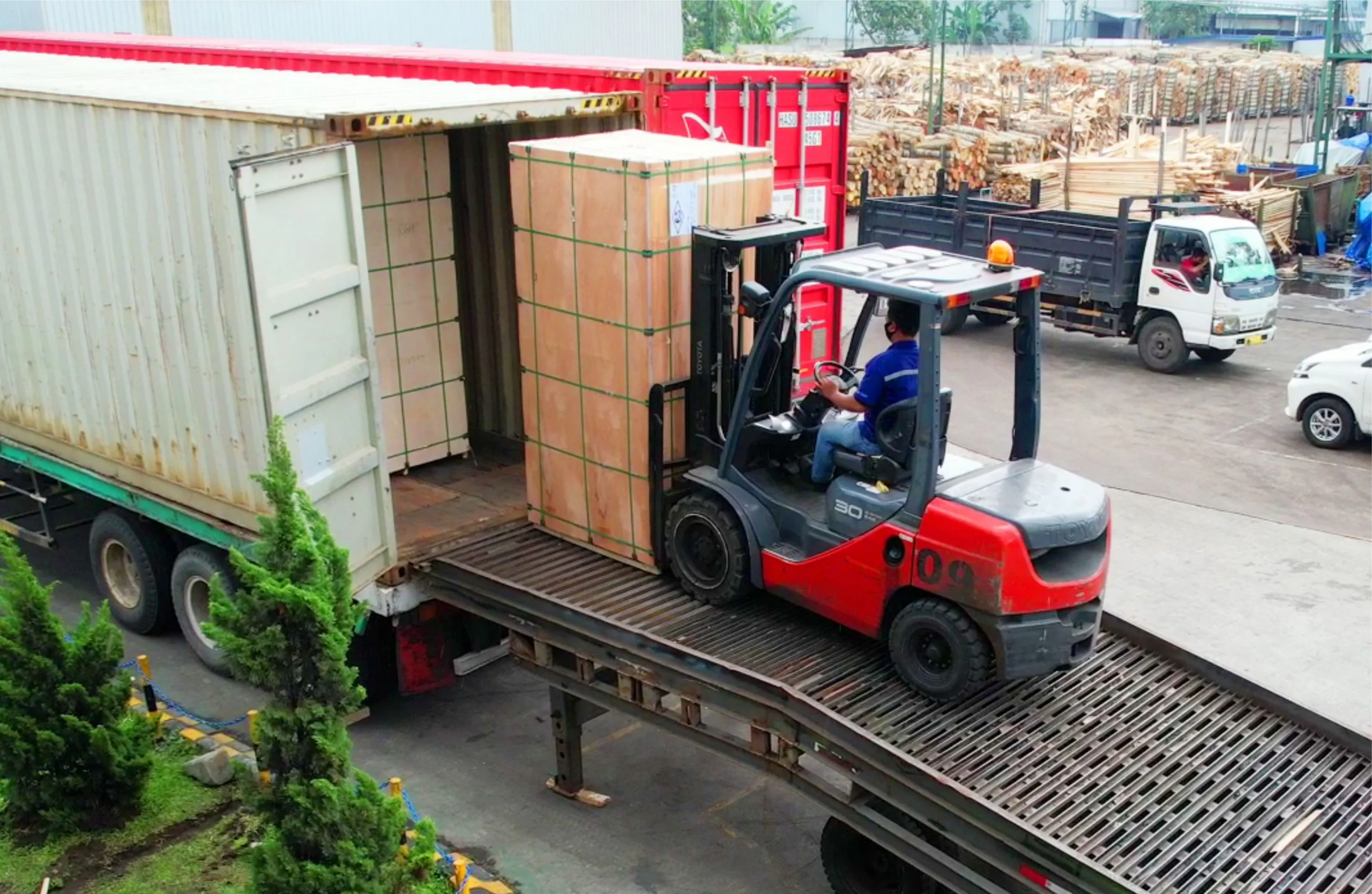 DISTRIBUTION — photograph 1 of 1