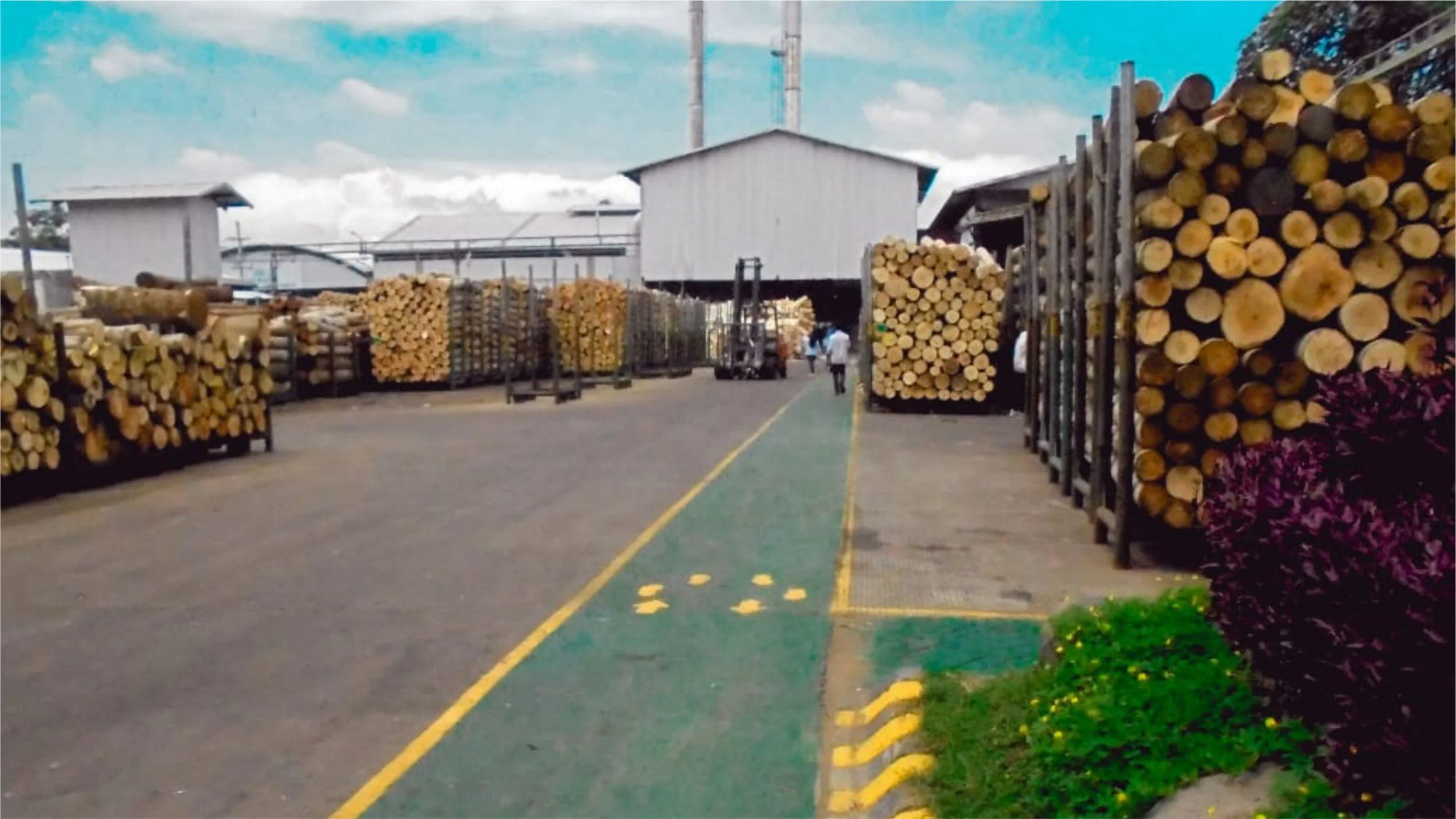 LOG YARD — photograph 5 of 5