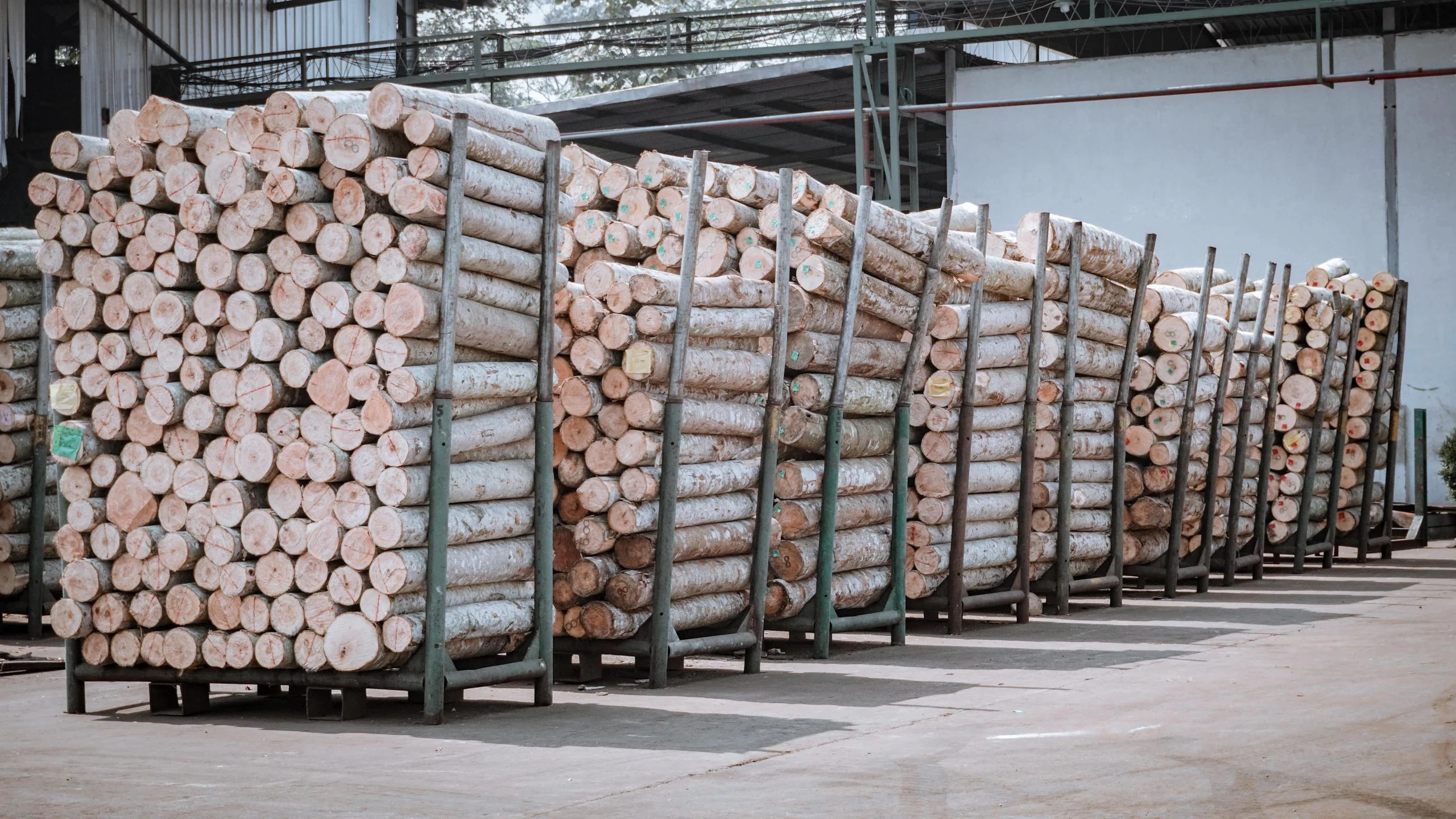 LOG YARD — photograph 4 of 5