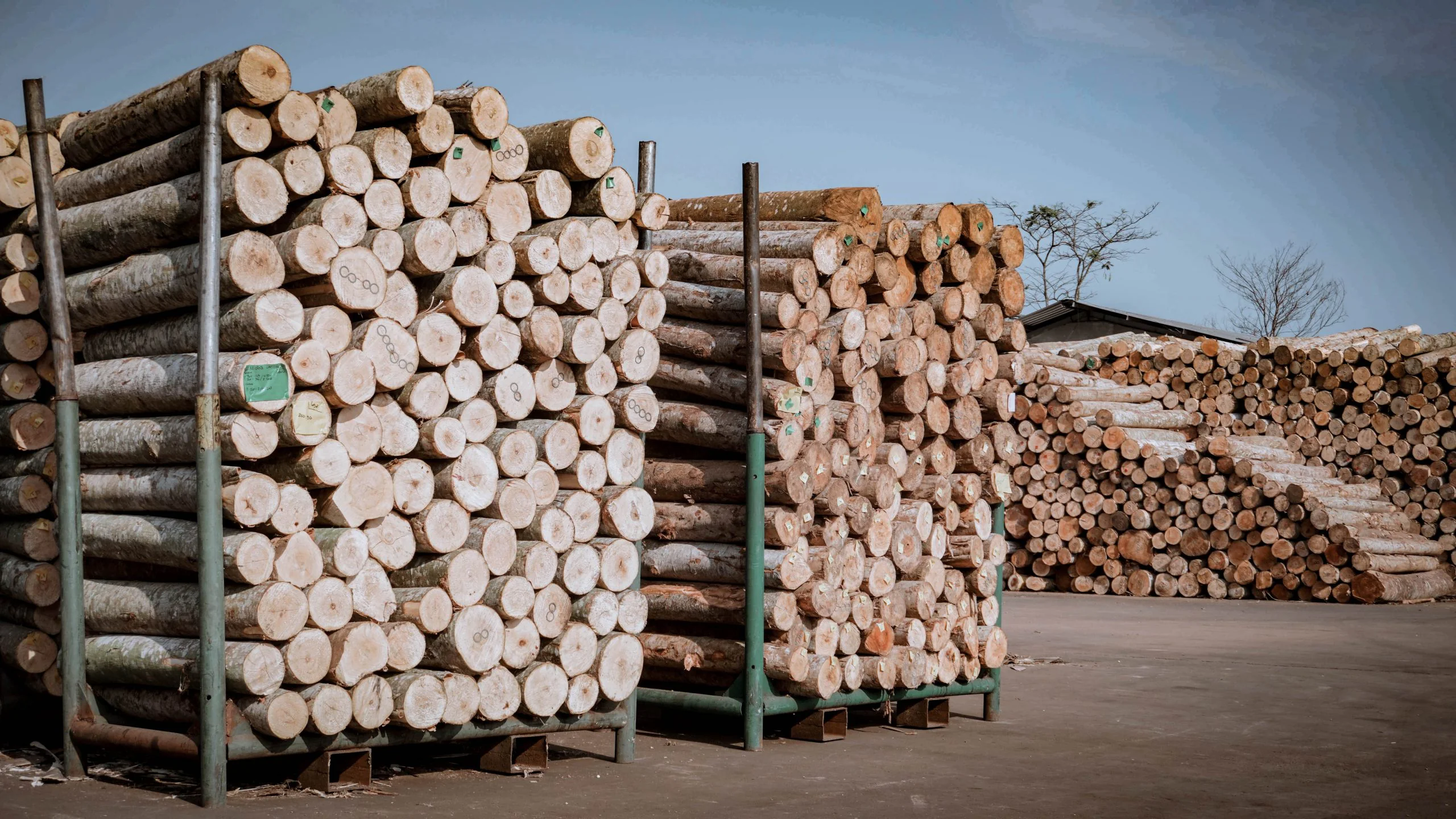 LOG YARD — photograph 3 of 5