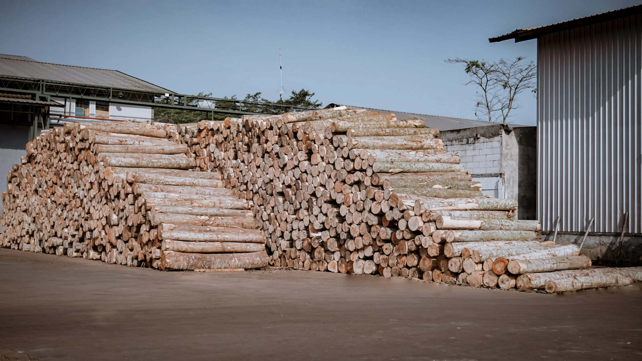 LOG YARD — photograph 2 of 5