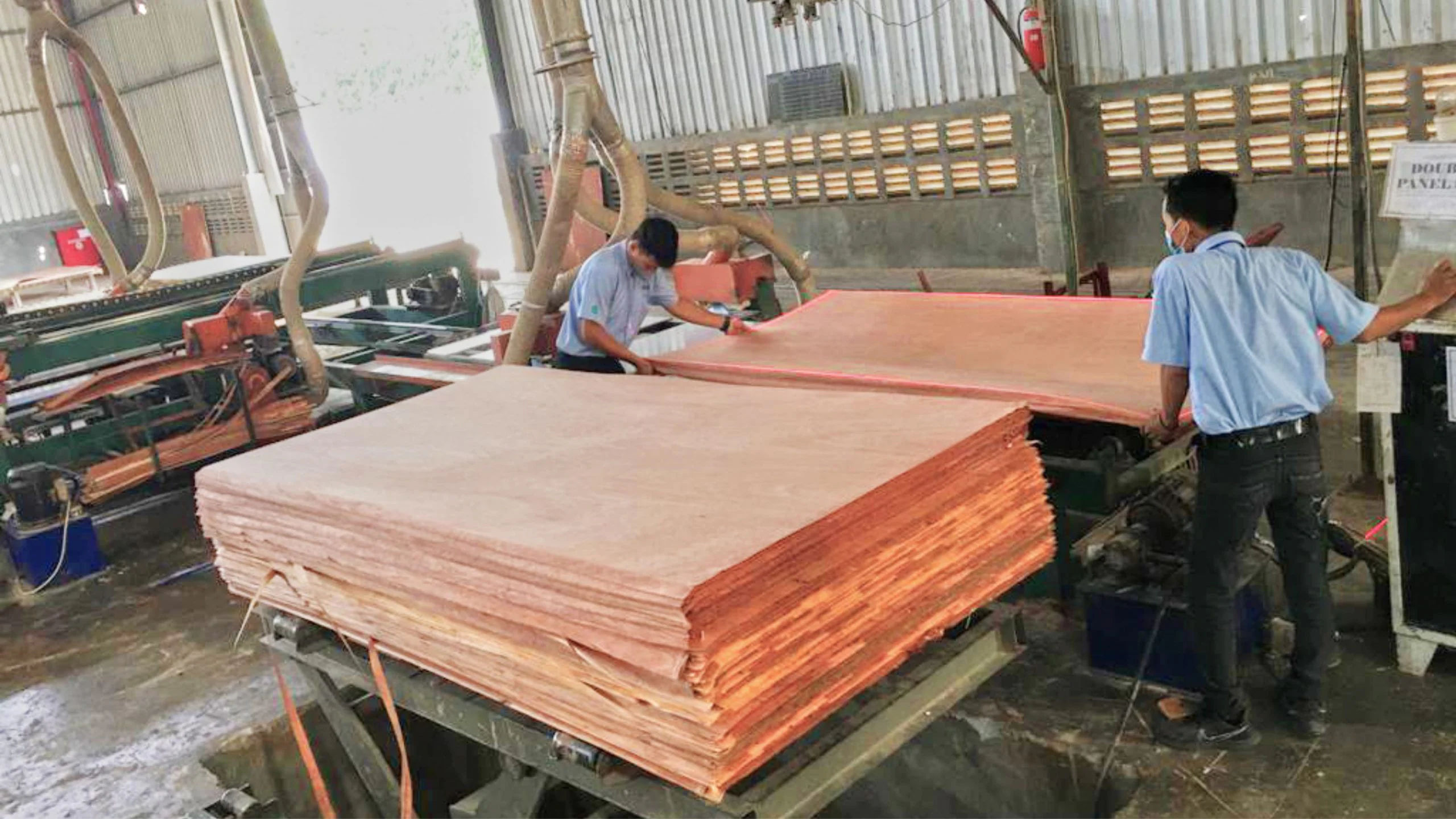 PANEL SAW — photograph 2 of 4