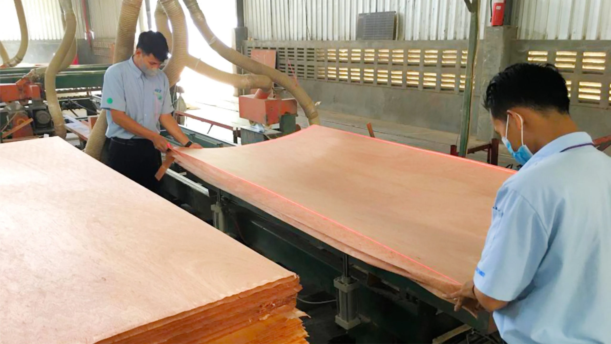 PANEL SAW — photograph 4 of 4