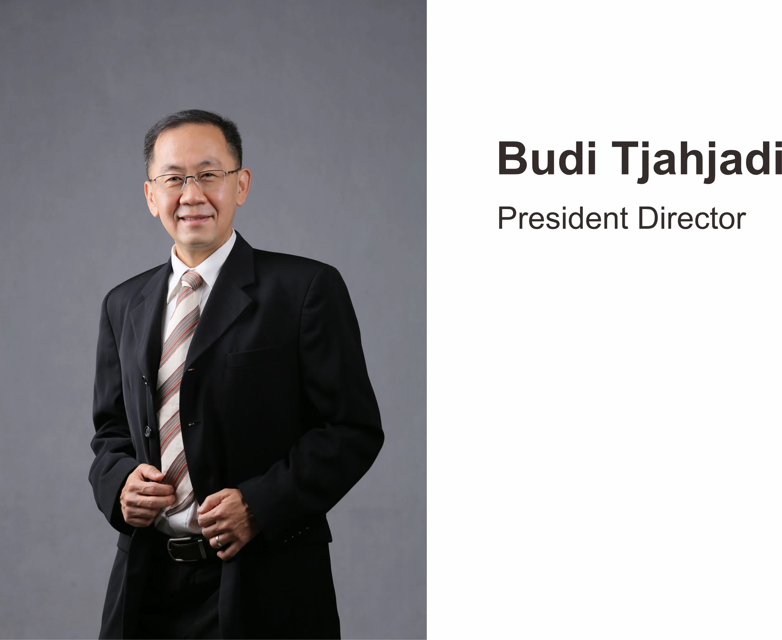 Budi Tjahjadi — President Director