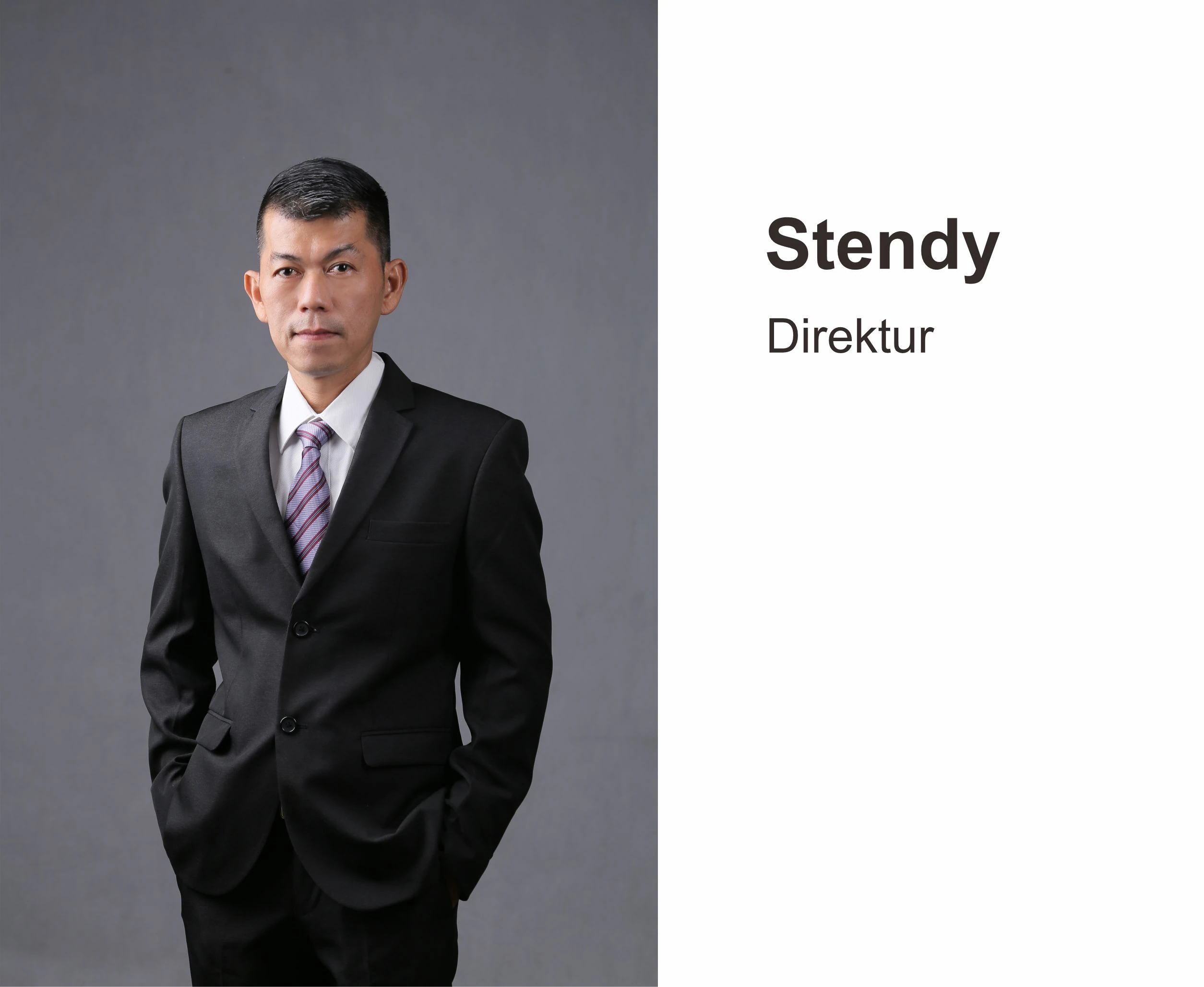 Stendy — Director