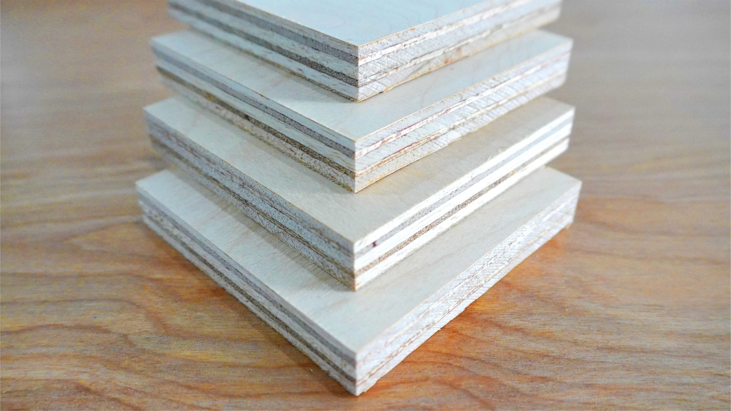 WHITE BIRCH — product photograph 2
