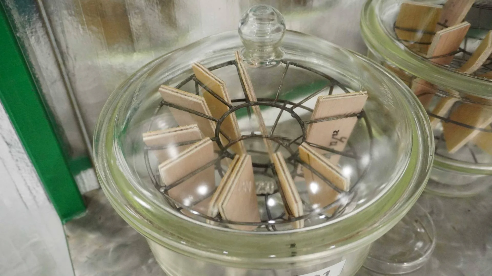 Wood samples in laboratory testing equipment